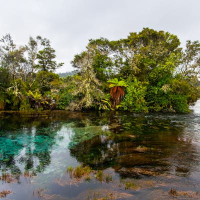 Take a Stroll around Te Waikoropupu Springs