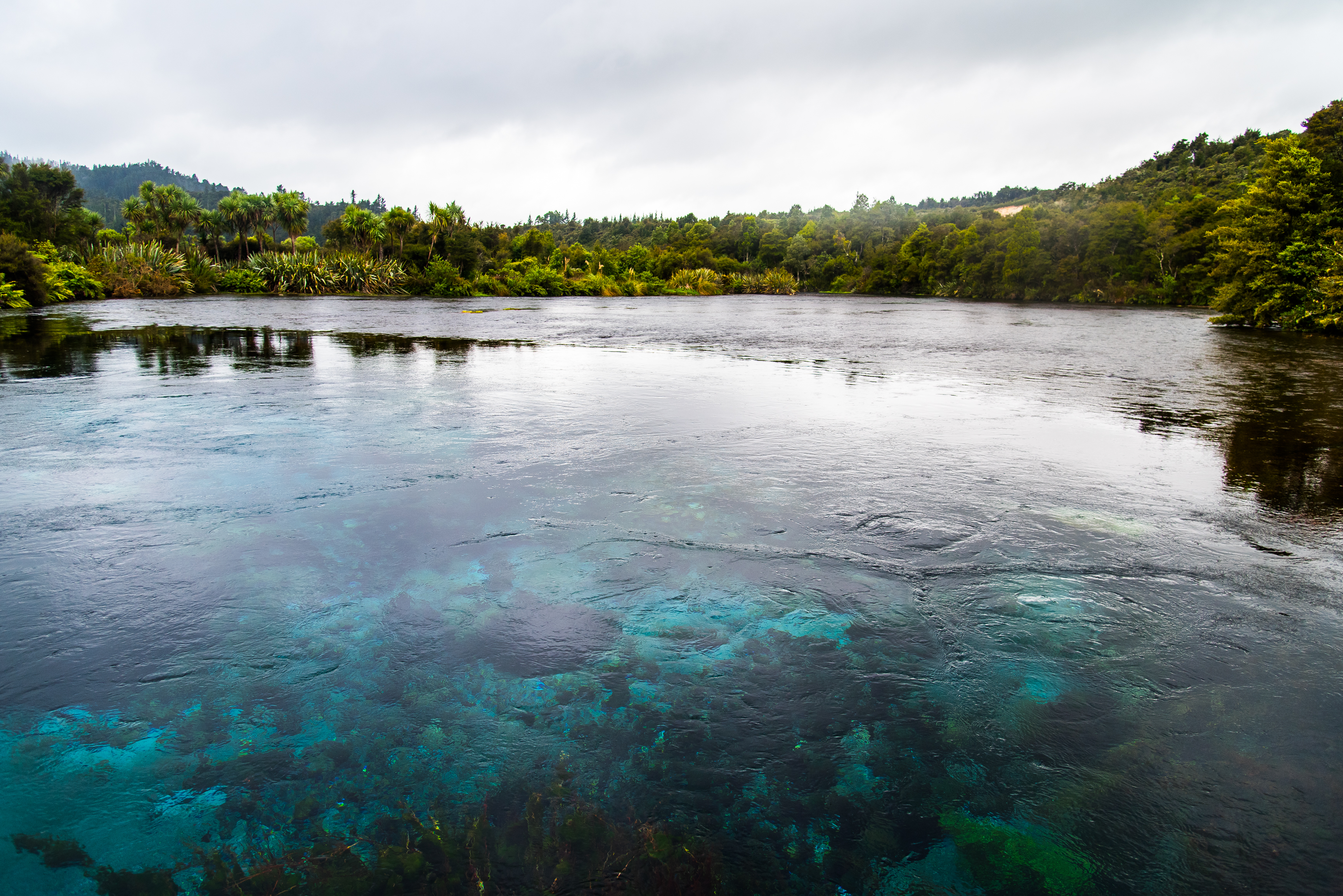 Take a Stroll around Te Waikoropupu Springs