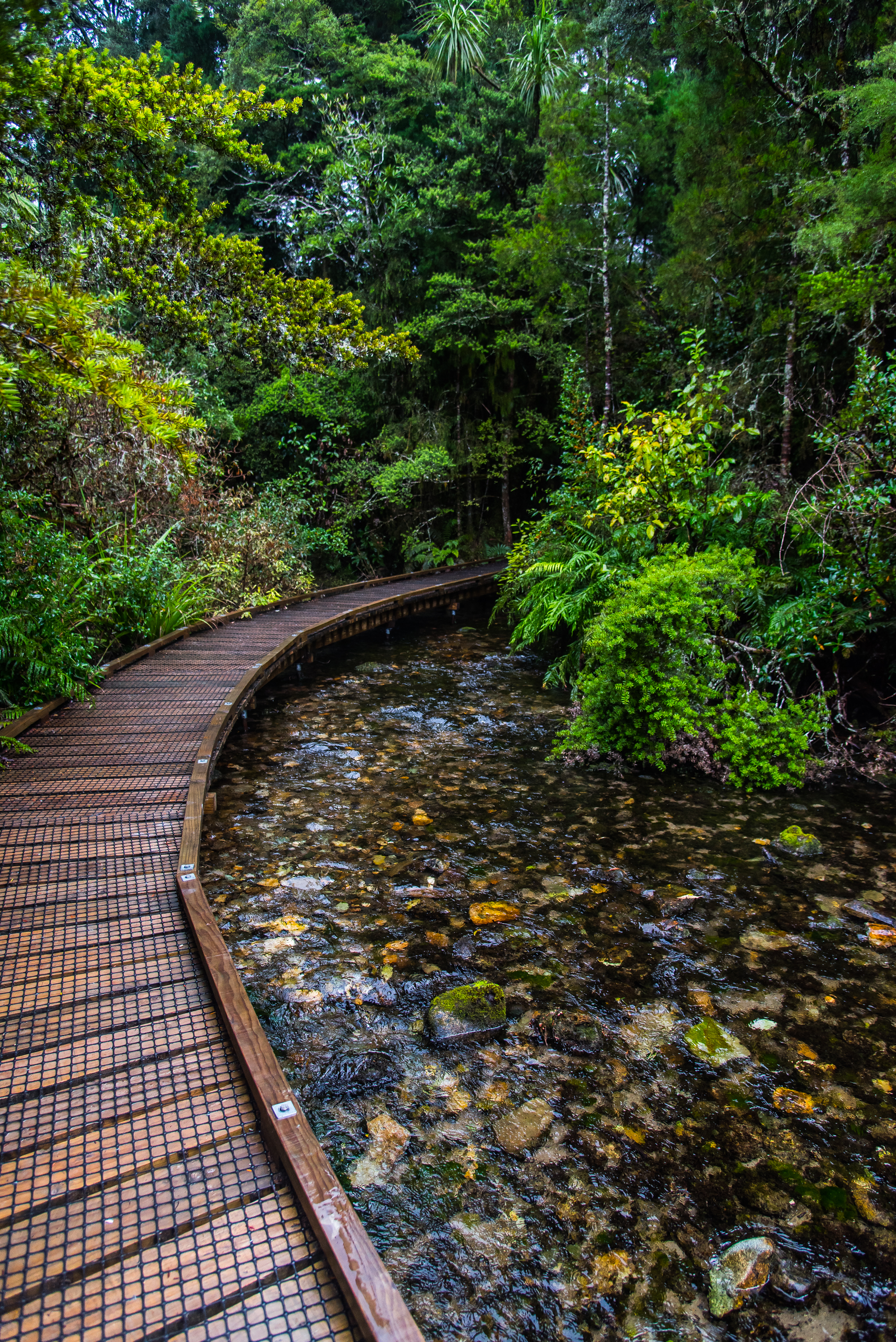 Take a Stroll around Te Waikoropupu Springs