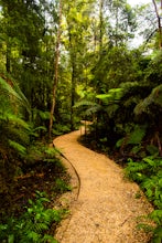 Take a Stroll around Te Waikoropupu Springs