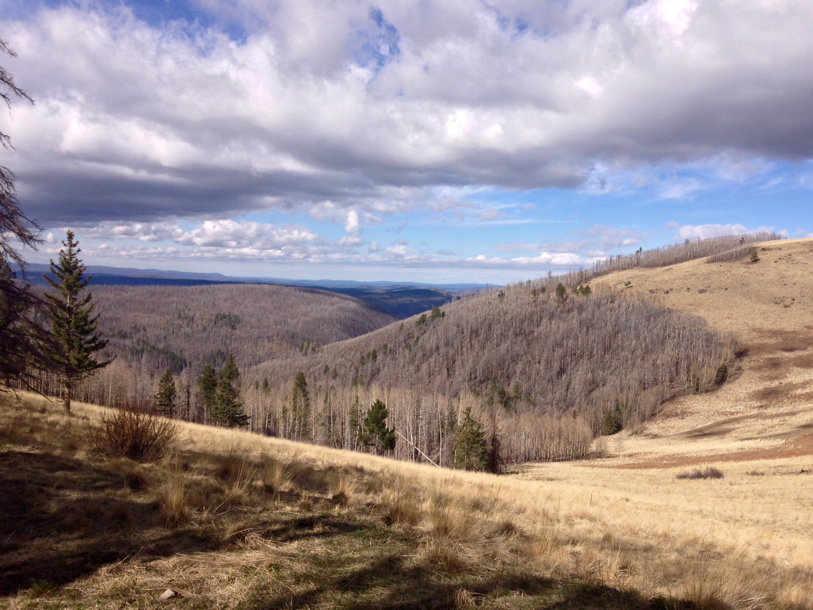 Hike to Escudilla Mountain Lookout Tower