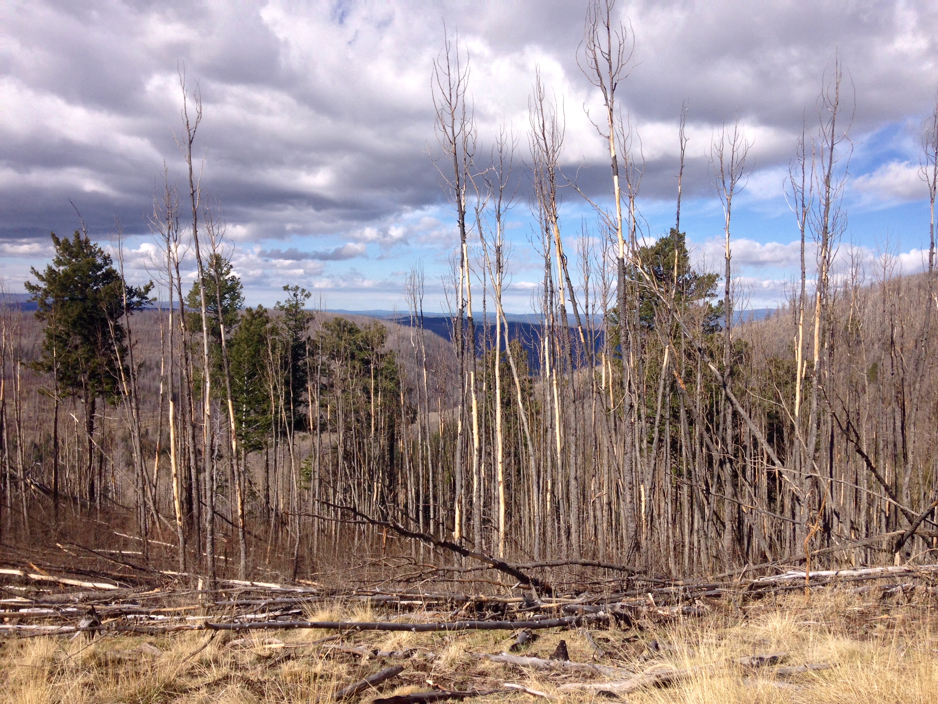 Hike to Escudilla Mountain Lookout Tower