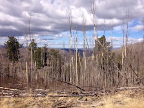 Hike to Escudilla Mountain Lookout Tower