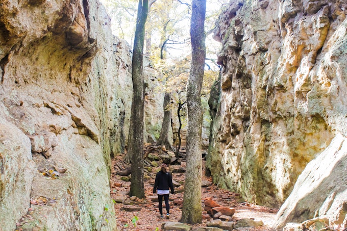 A person stands among three tall trees on a trail lined by tall rocky walls.