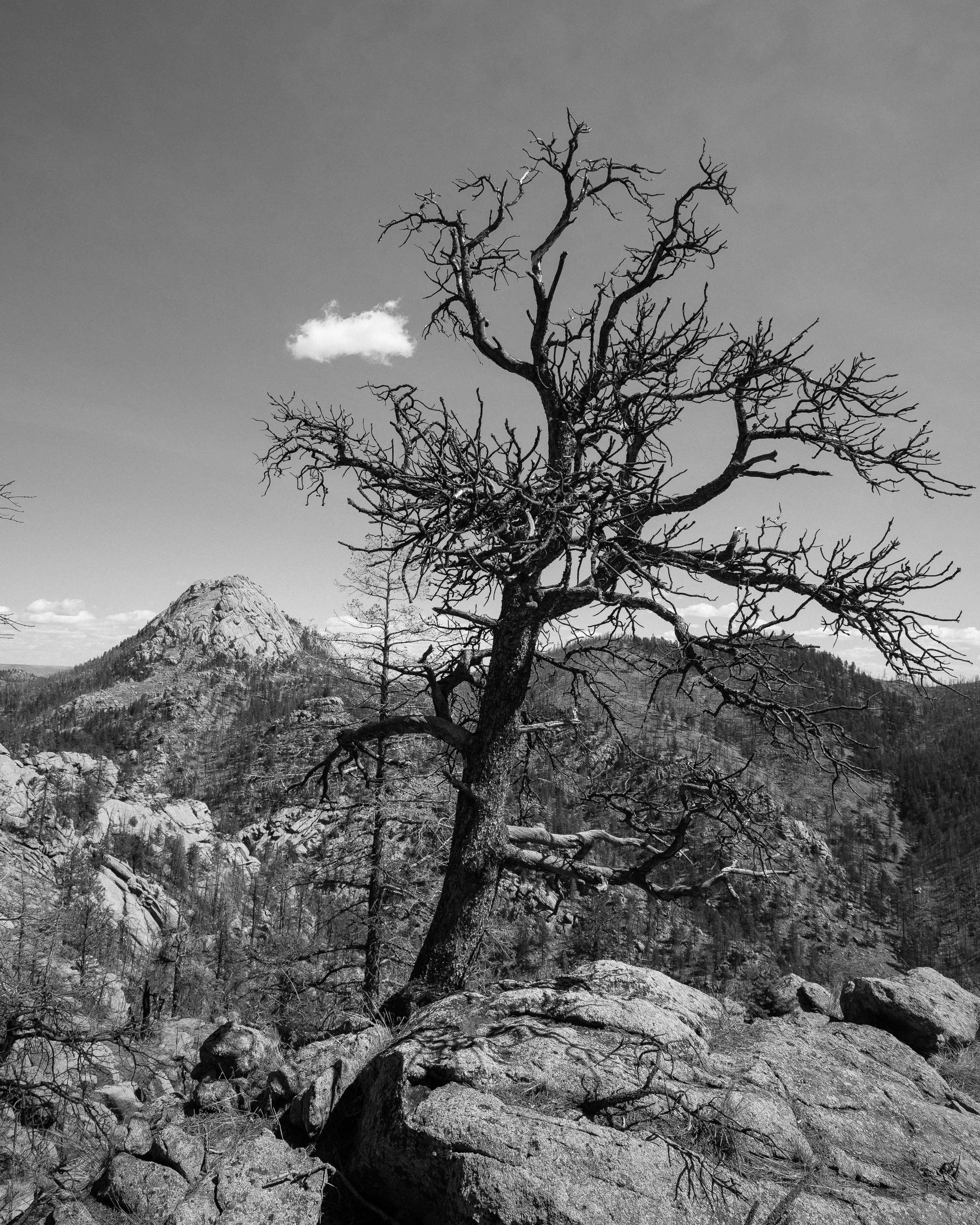 Climb Greyrock Mountain