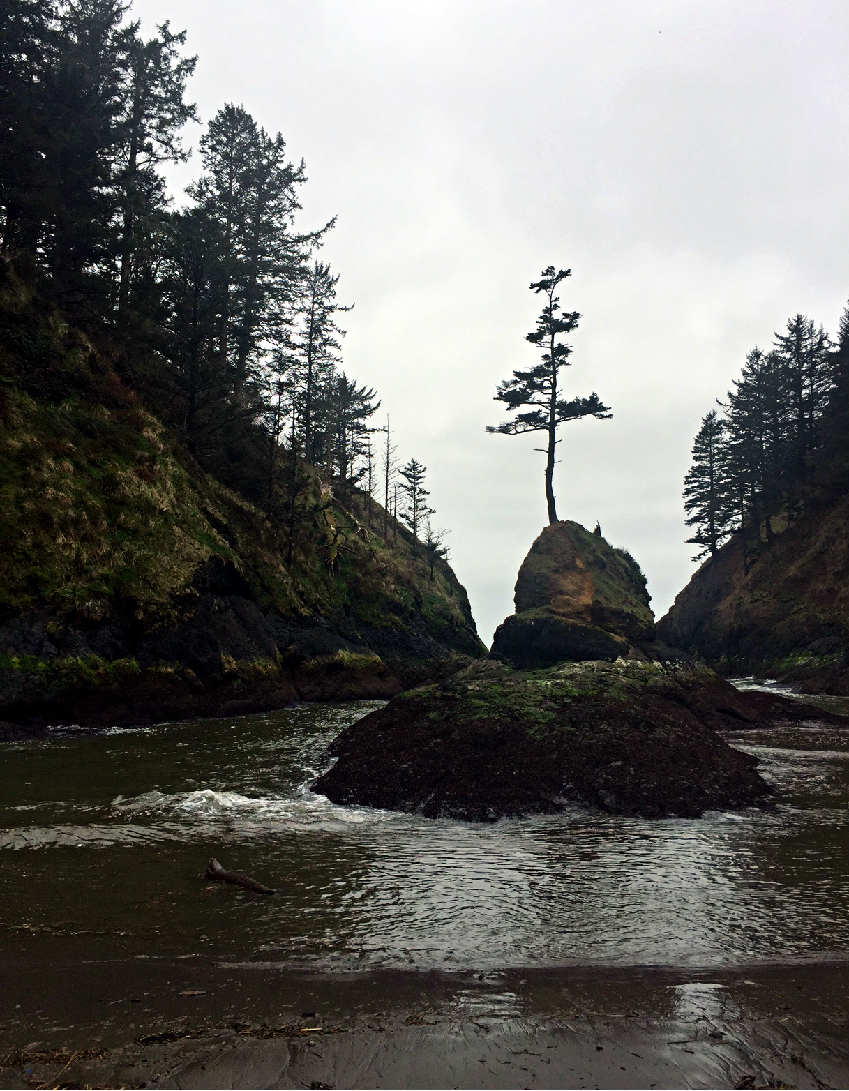 Cape Disappointment Trail