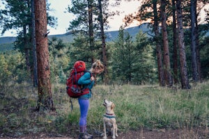 8 Tips To Hike Off-Leash With Your Dog (And Not Have People Hate You)