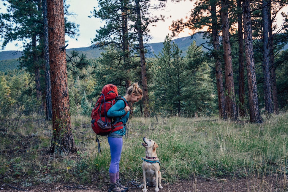 Hiking off leash clearance dog