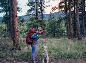 8 Tips To Hike Off-Leash With Your Dog (And Not Have People Hate You)