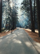 Bike Yosemite Valley 