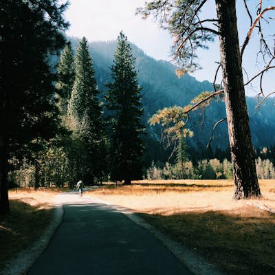 Bike Yosemite Valley 