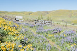 Hike through Dalles Mountain Ranch