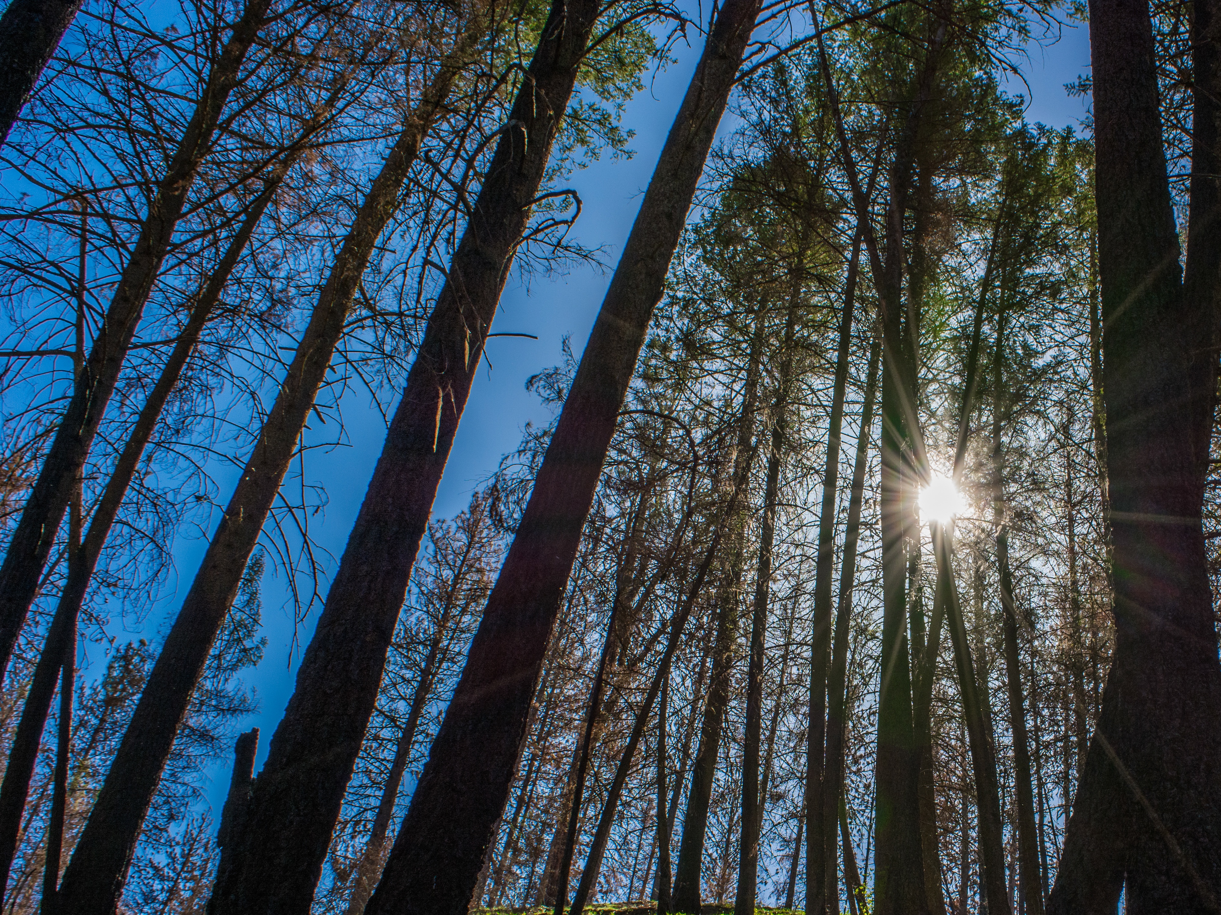 Hike through Muley Canyon