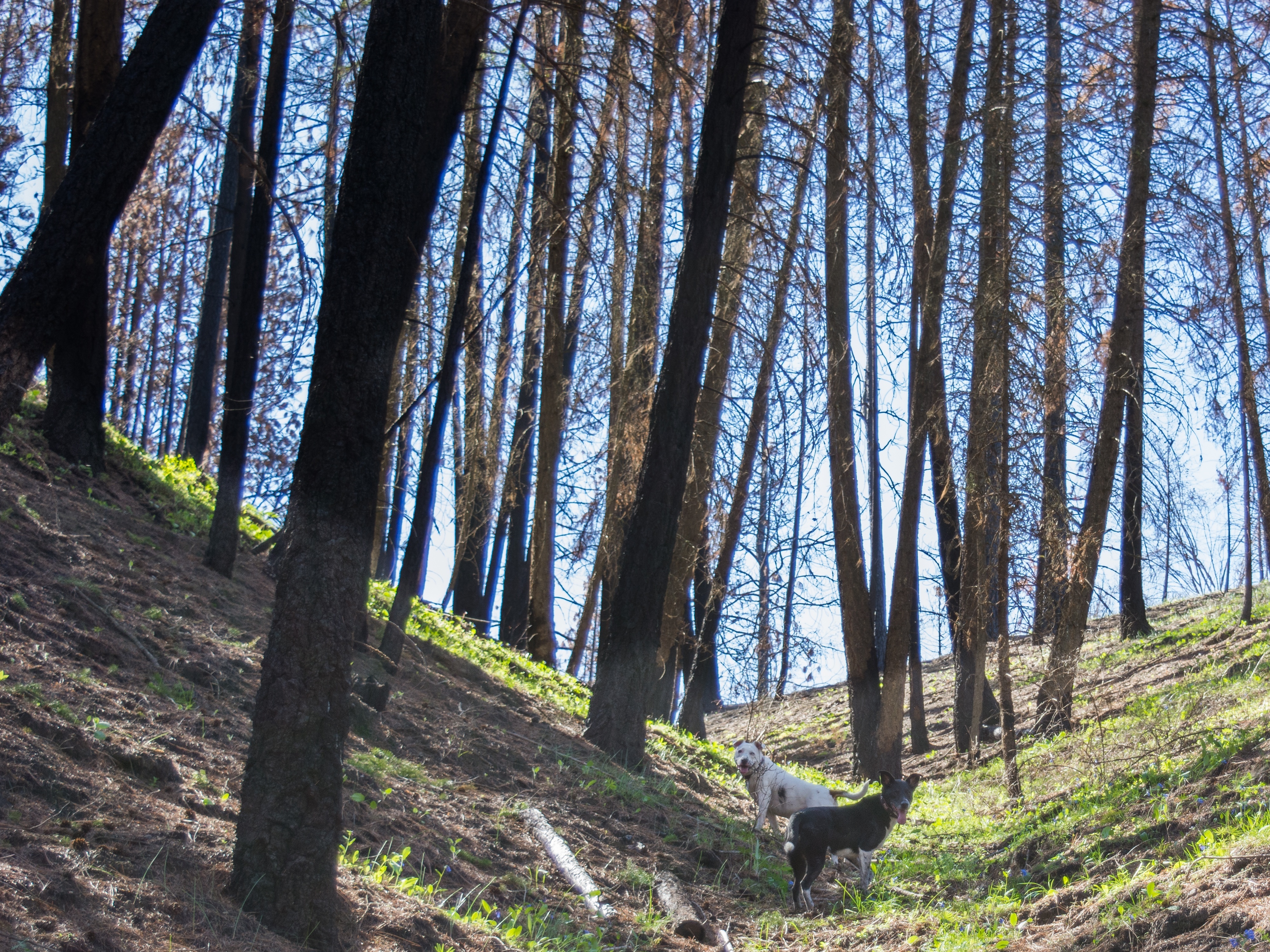Hike through Muley Canyon