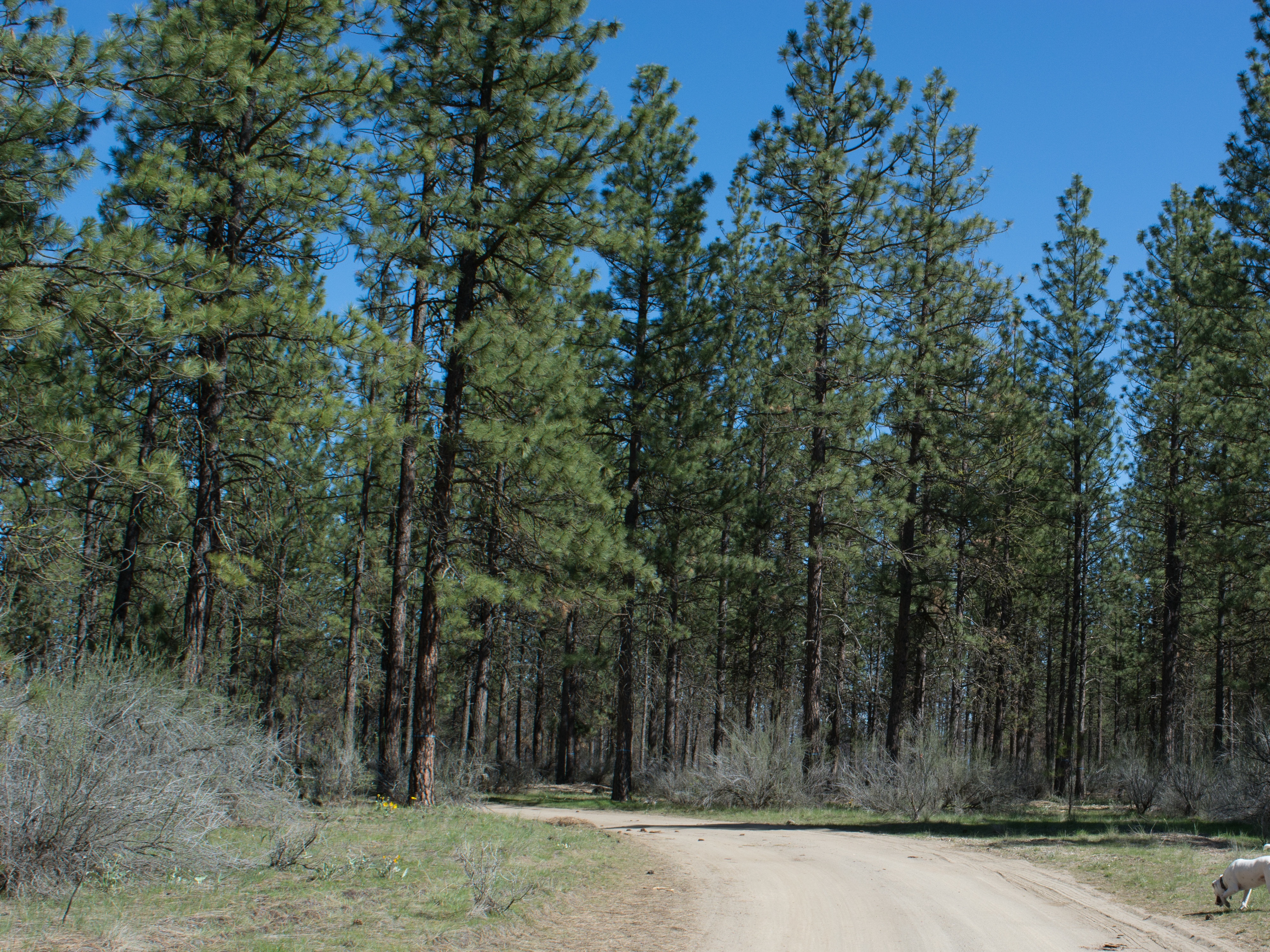 Hike through Muley Canyon
