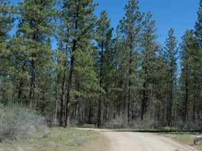 Hike through Muley Canyon