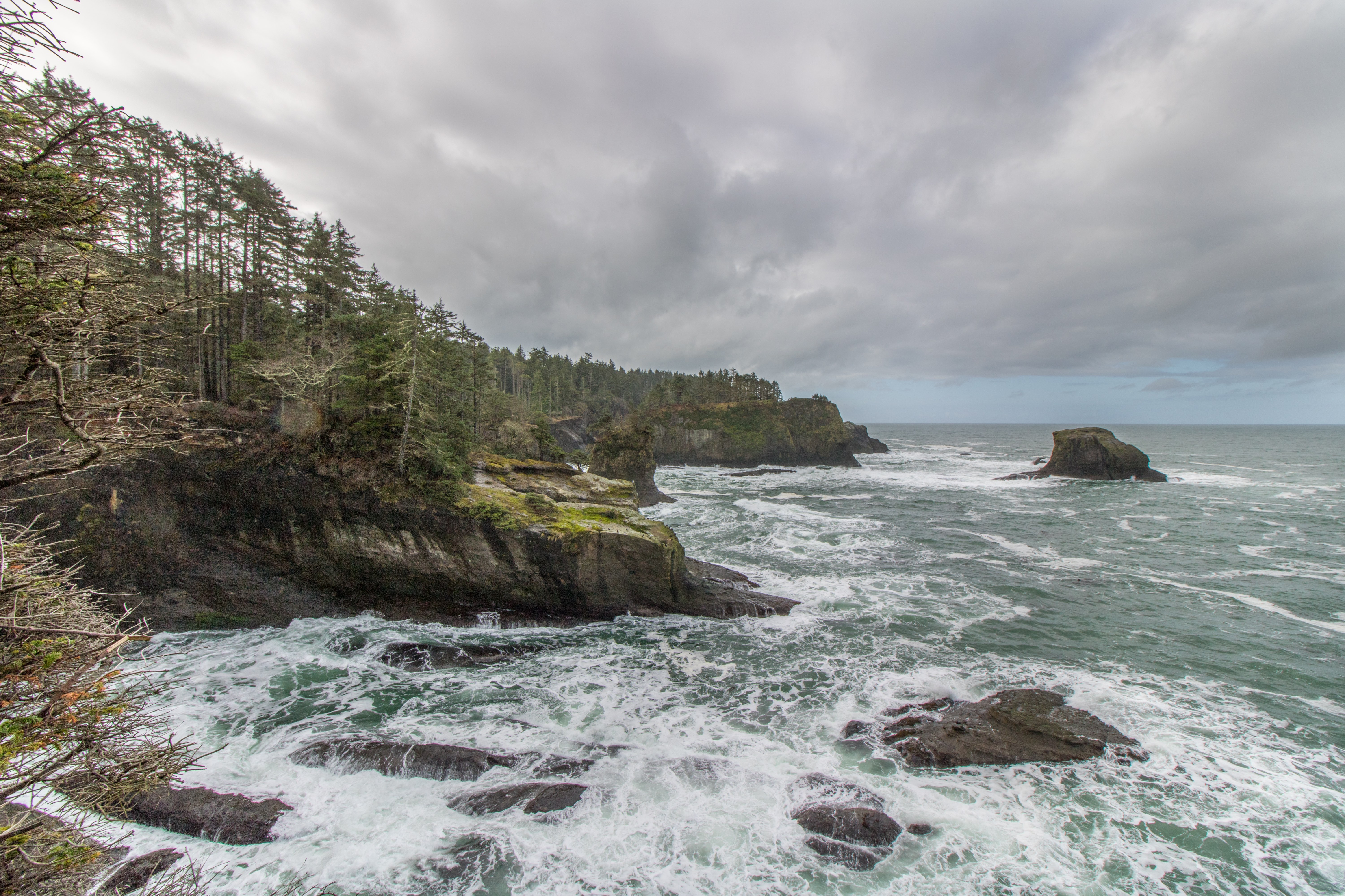 Cape Flattery Fever