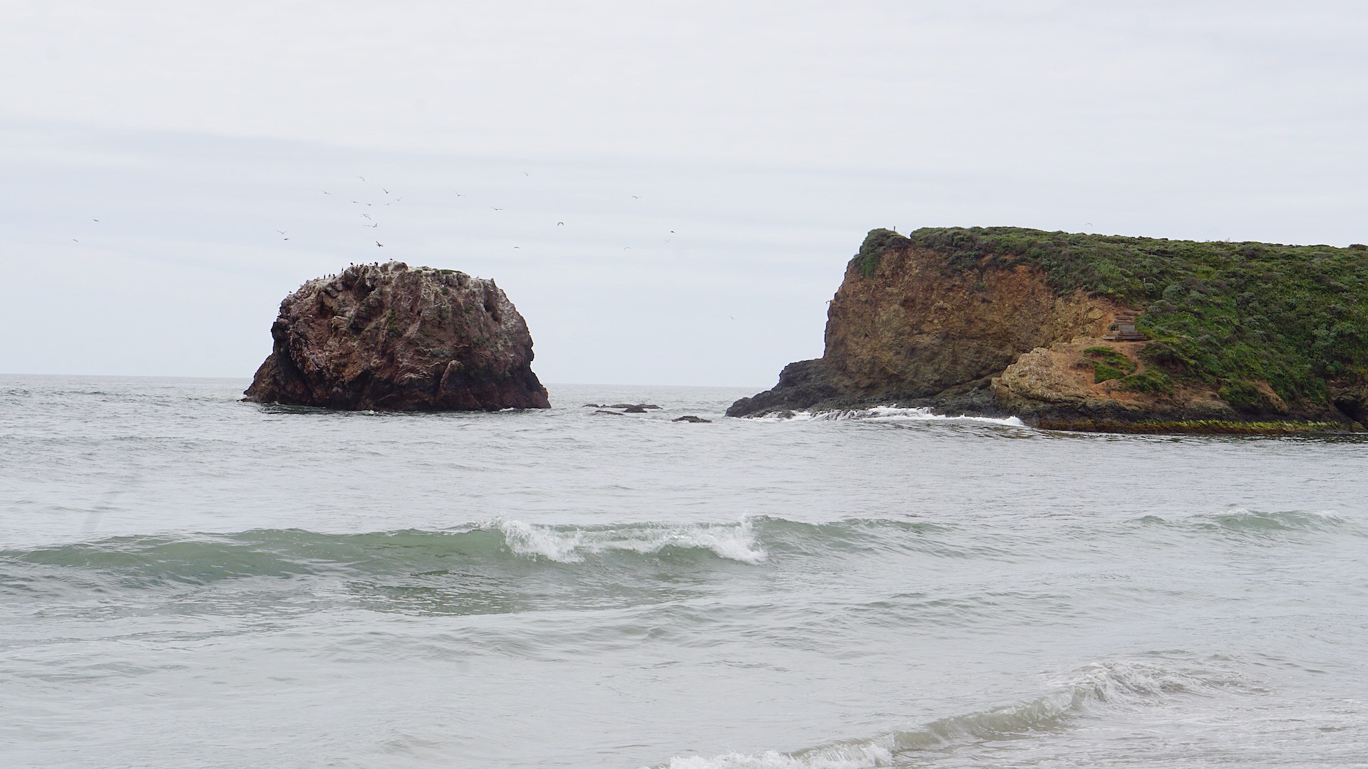 Molera Beach via Creamery Meadow Trail