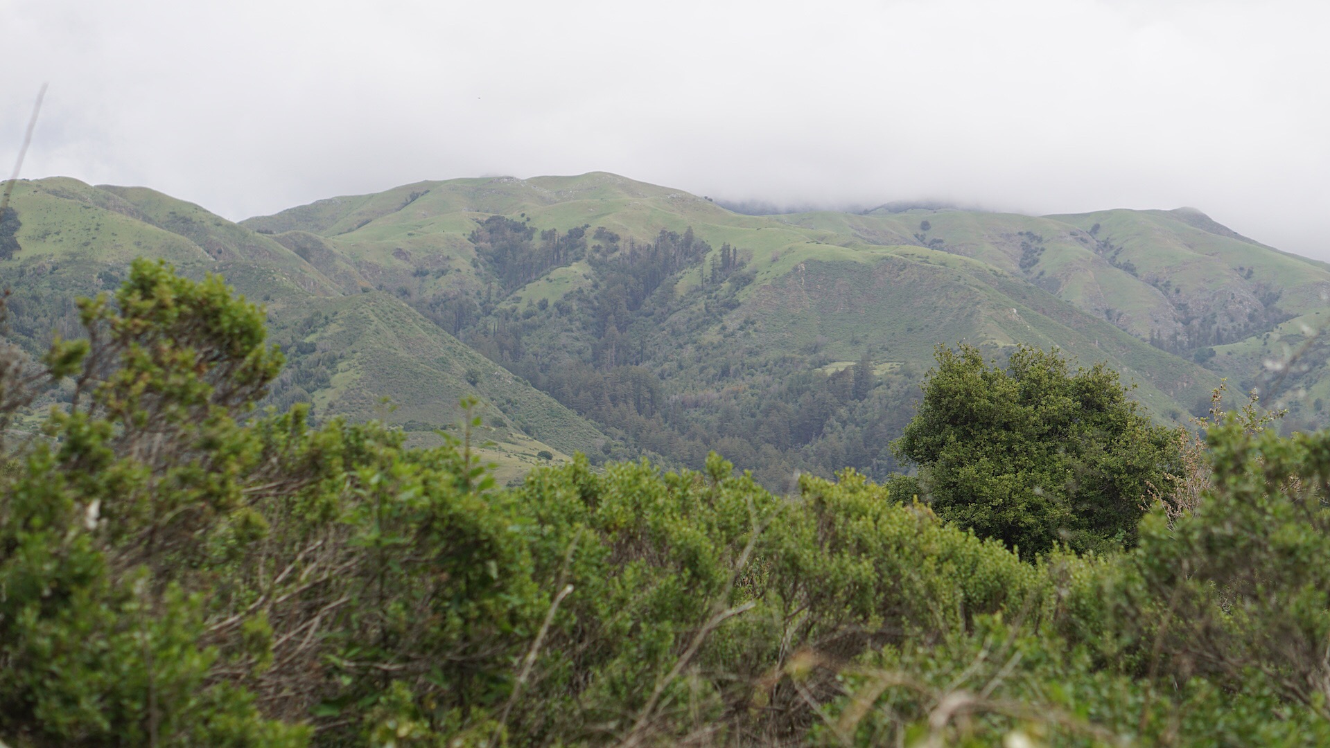 Molera Beach via Creamery Meadow Trail