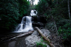 Hike to Martin Creek Falls