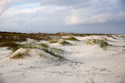 Camp at Stafford Beach on Cumberland Island, Cumberland Island Ferry ...