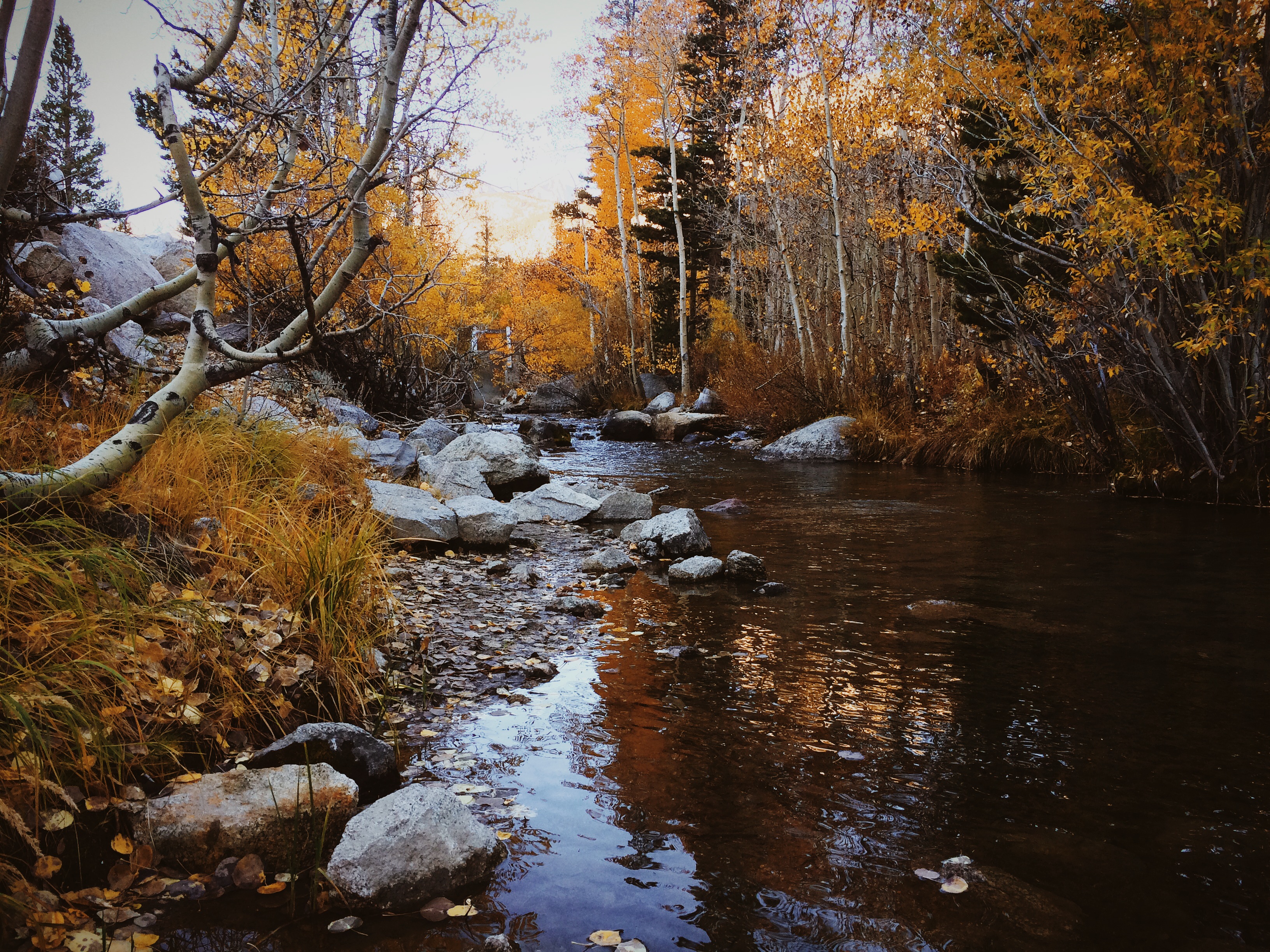 Hike to Emerald Lakes 