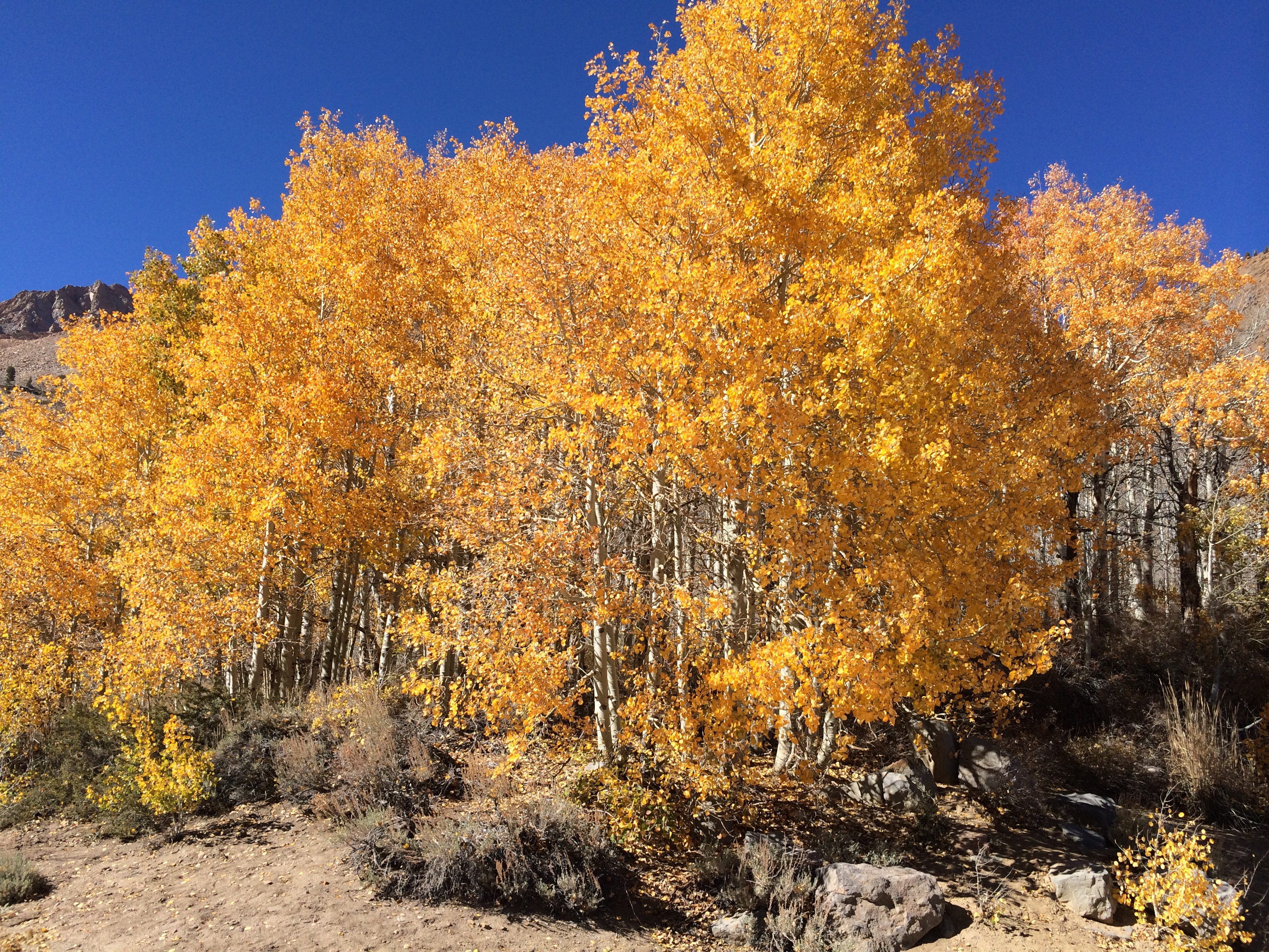 Hike to Emerald Lakes 