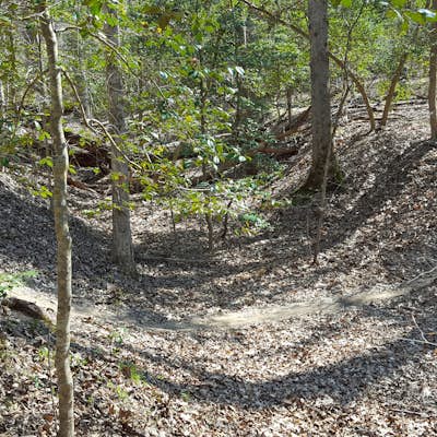 Mountain Bike the Morel Ravine and Little West Virginia Trails