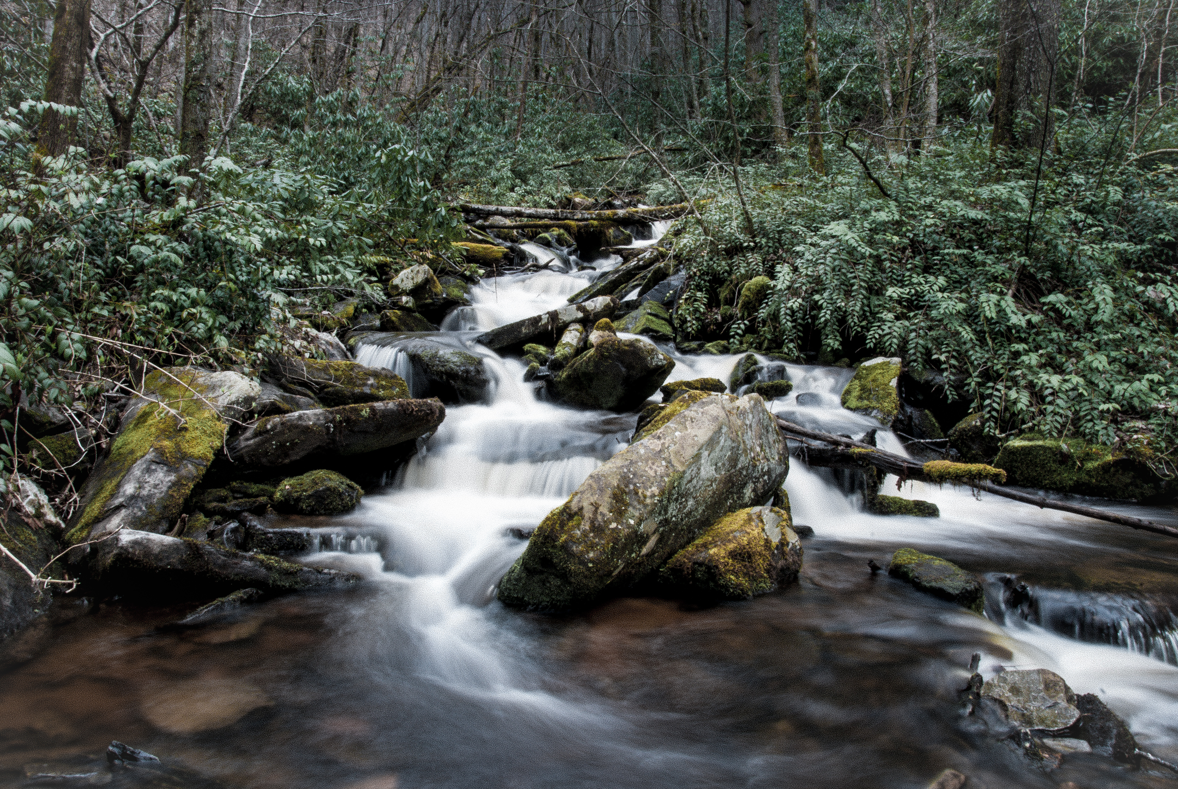 Hike to Alarka Falls
