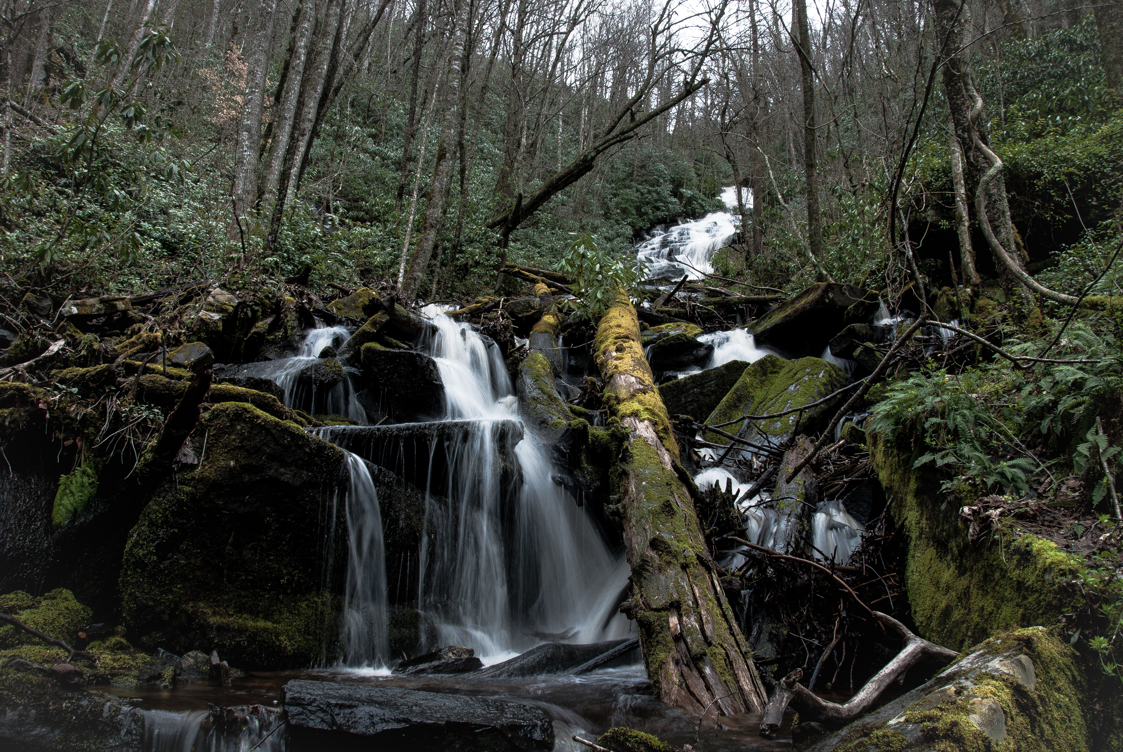 Hike to Alarka Falls