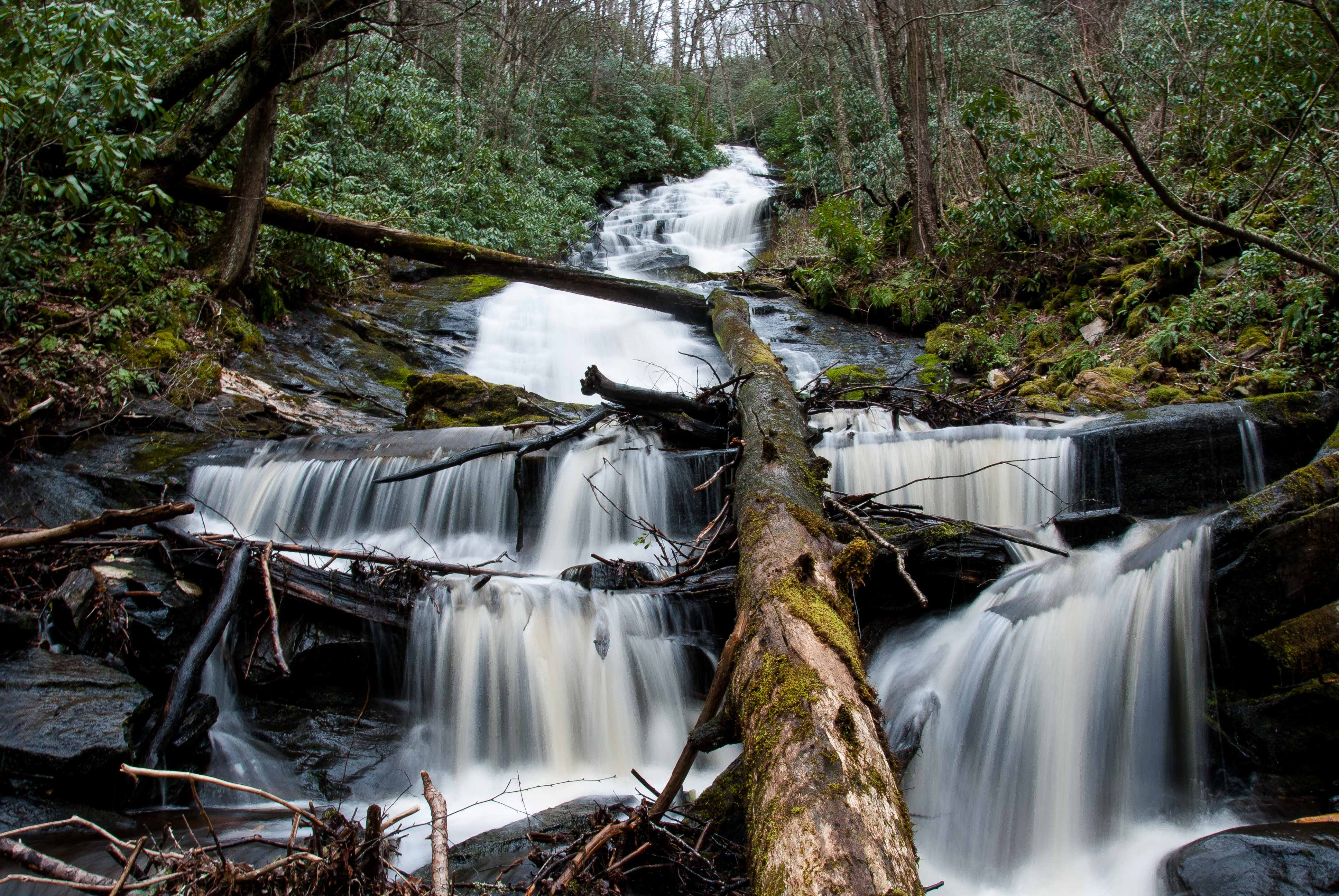 Hike to Alarka Falls