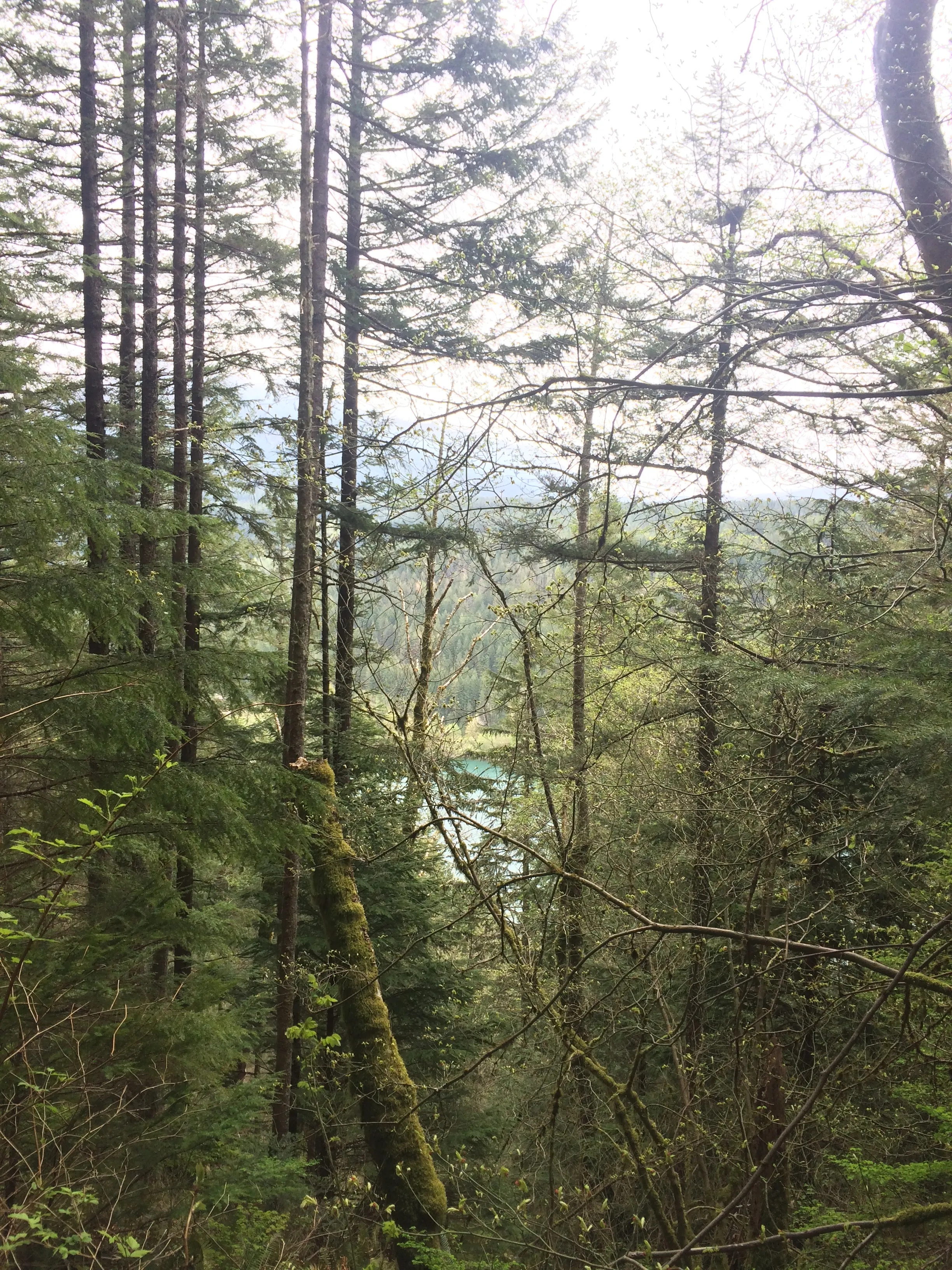Rattlesnake Ledge
