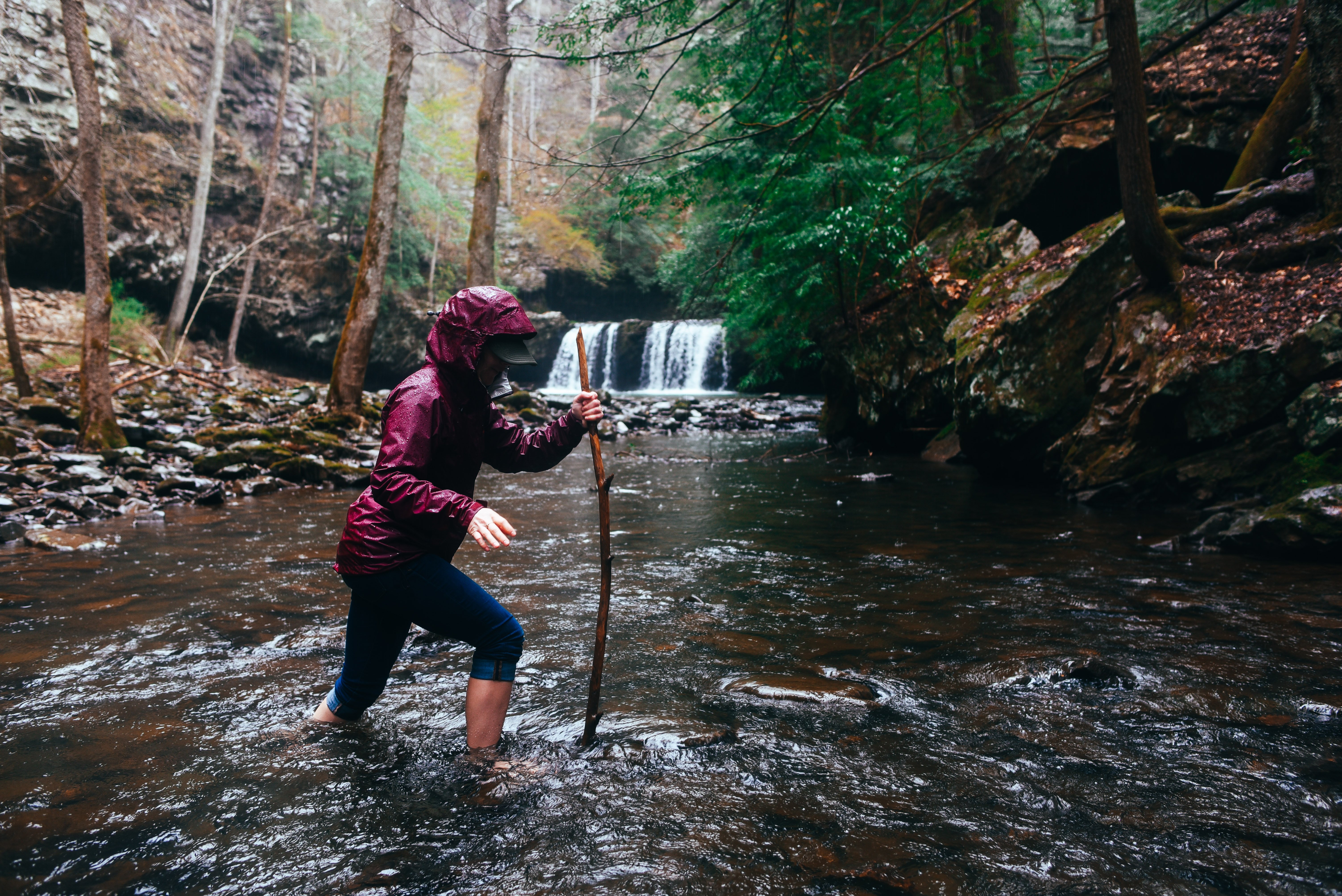 Sycamore Falls