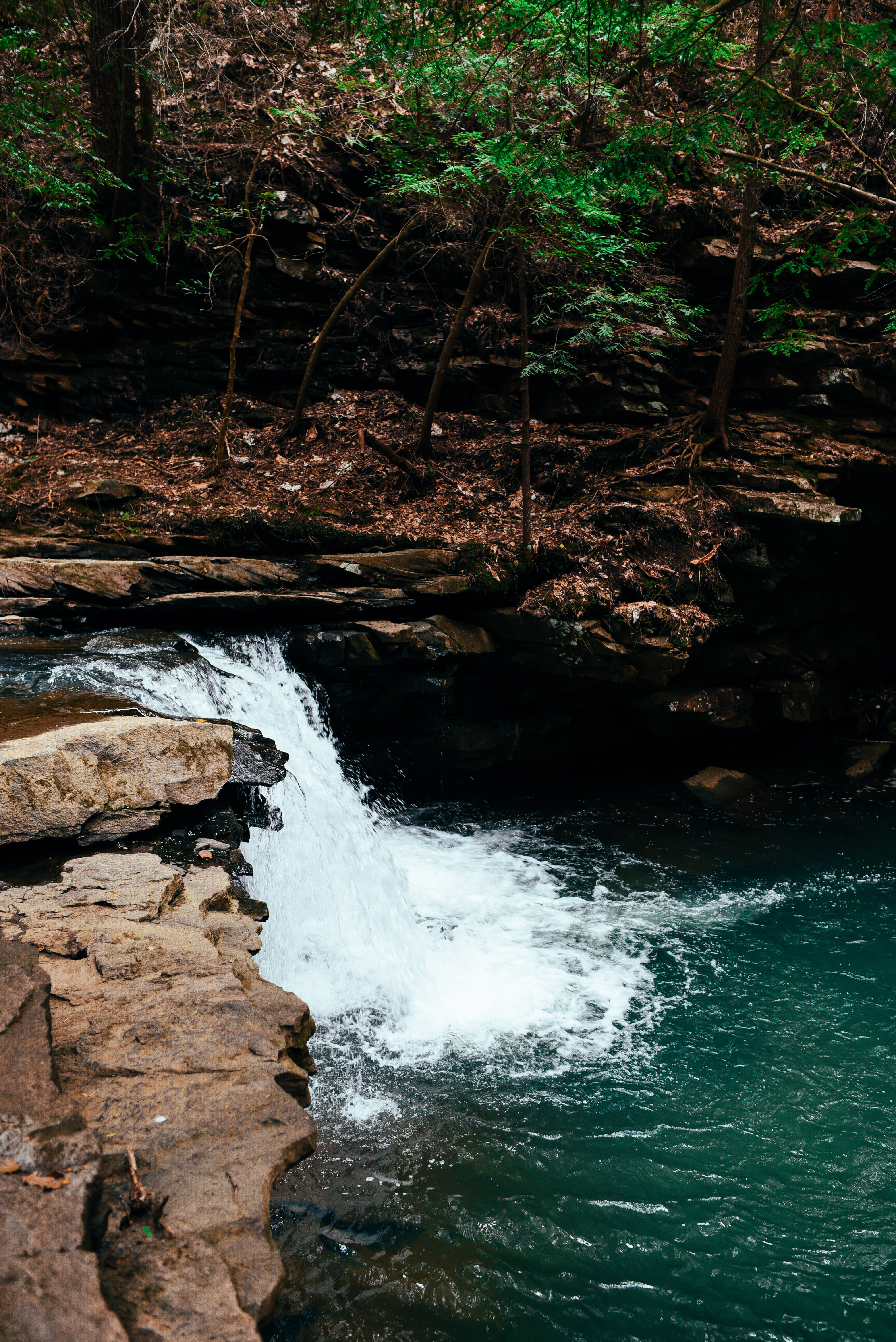 Sycamore Falls