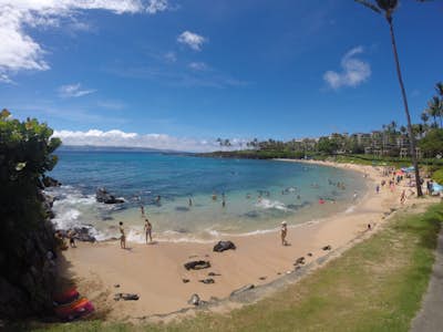 Maui Wowie II