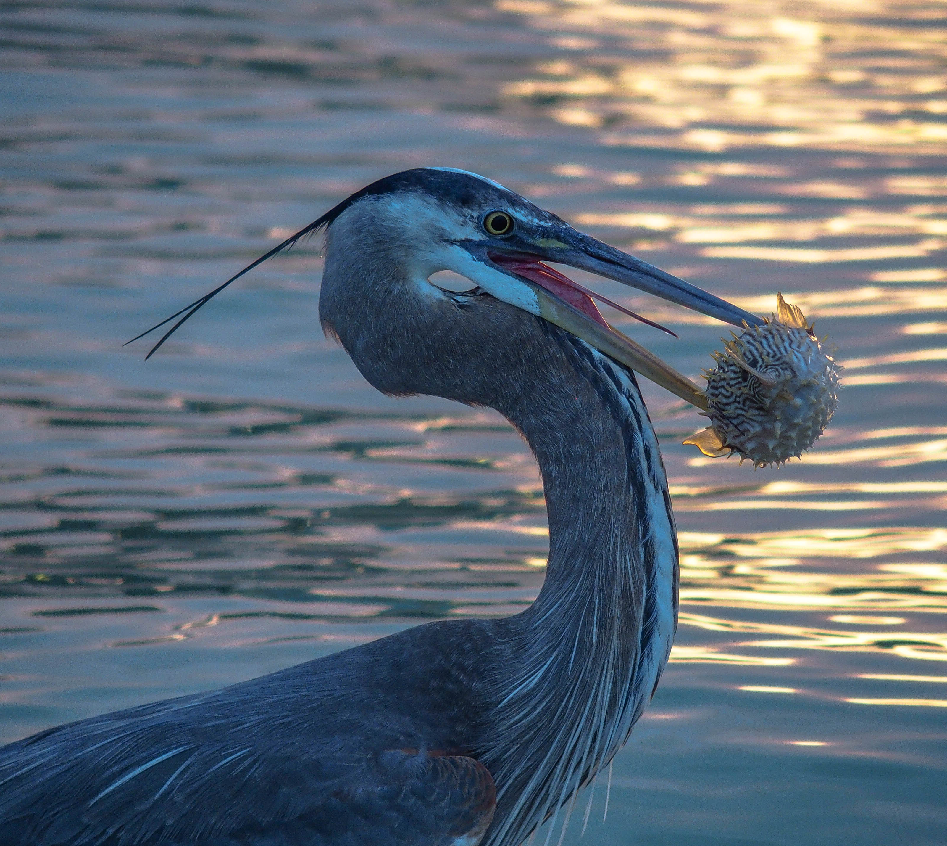 Catch the Sunrise at Rod & Reel Pier