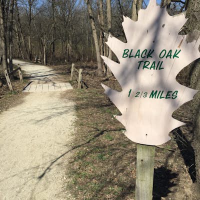 Black Oak Trail