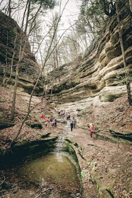 Hike Starved Rock's French Canyon