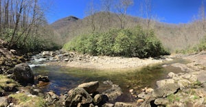 Hike Big East Fork Shining Rock Loop