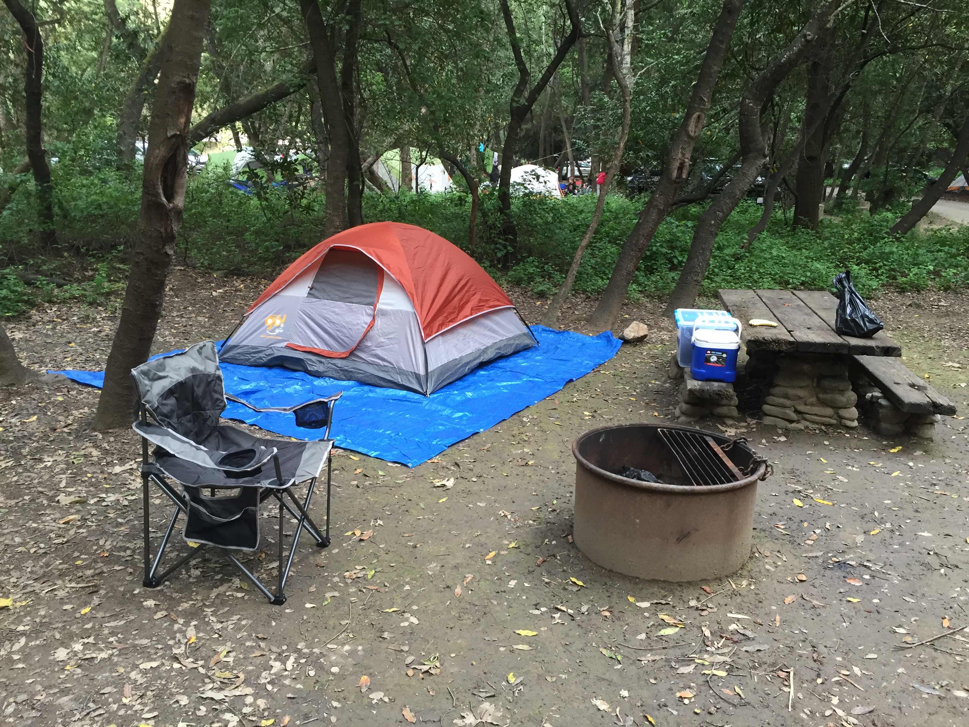 Camp at Pfeiffer Big Sur State Park