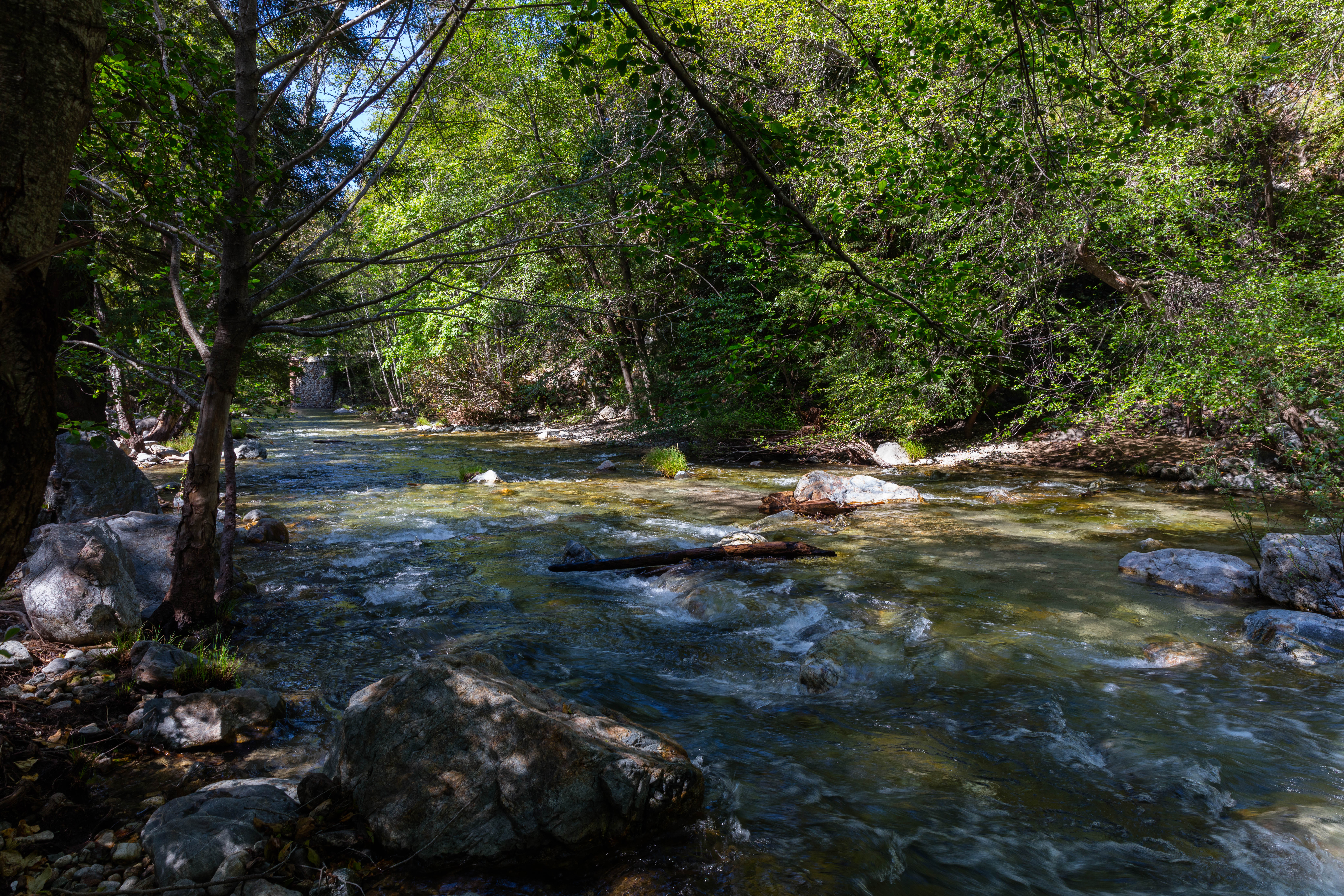 Camp at Pfeiffer Big Sur State Park