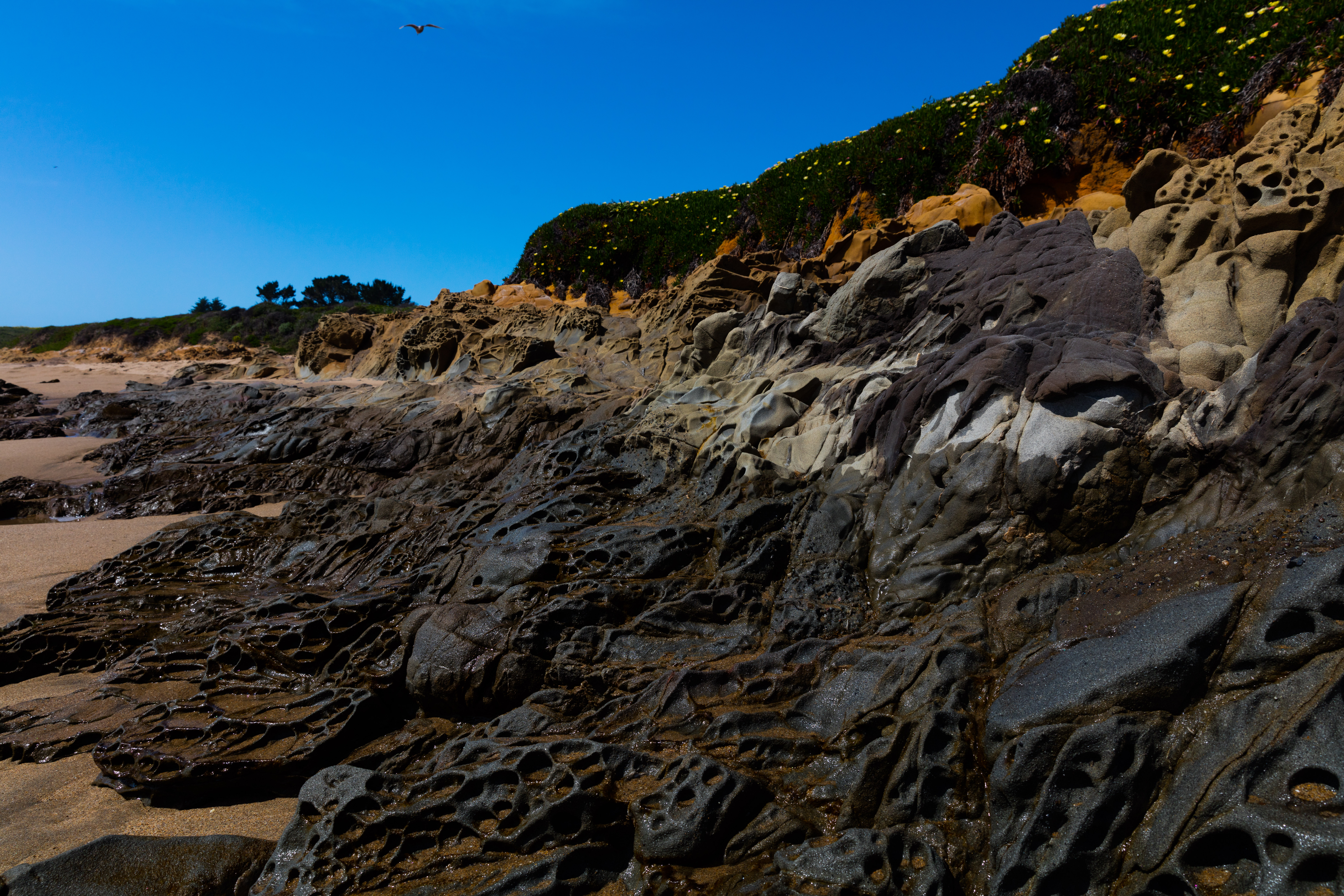 Bean Hollow State Beach