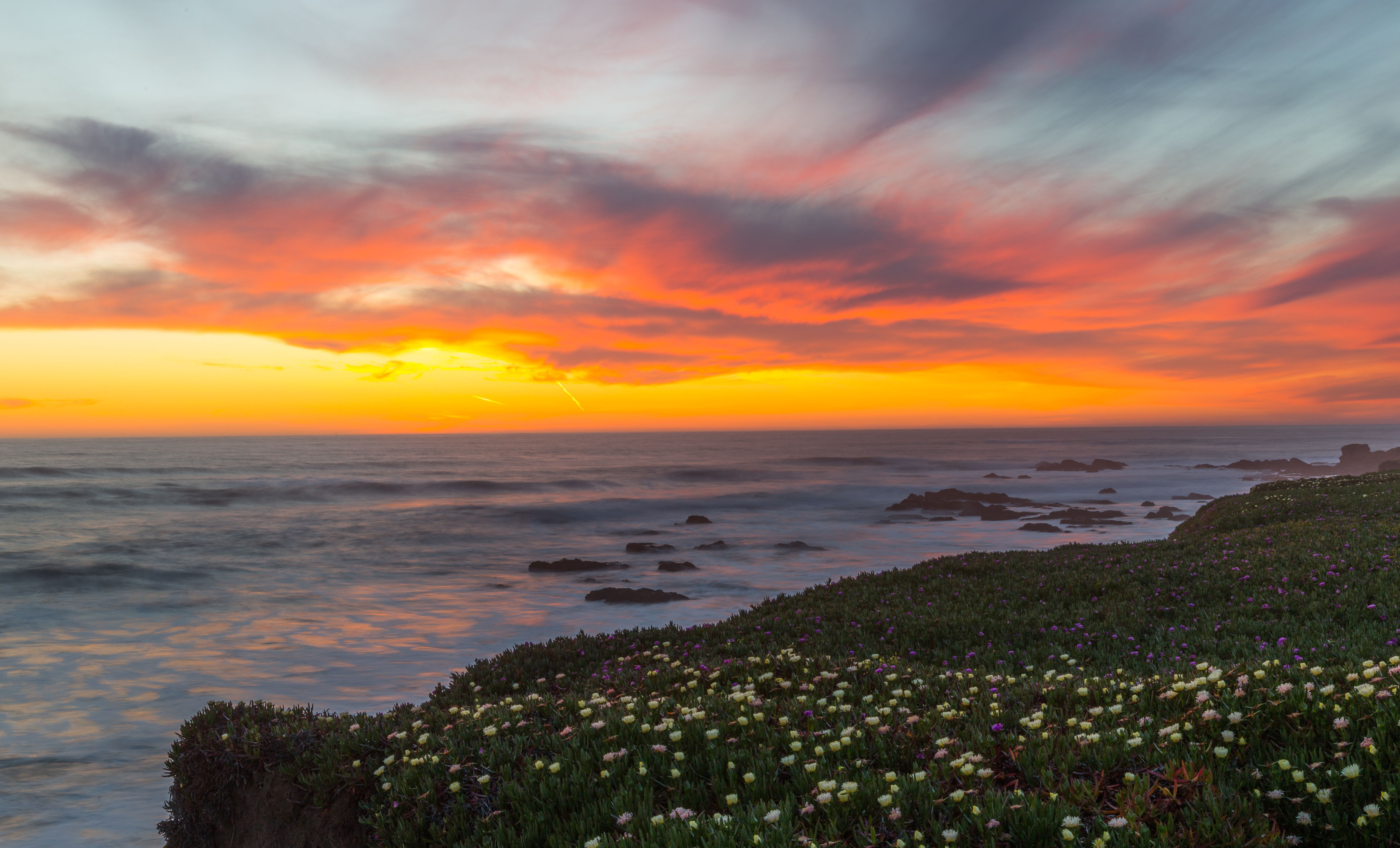Bean Hollow State Beach