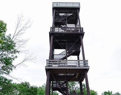 Climb Eagle Tower in Peninsula State Park