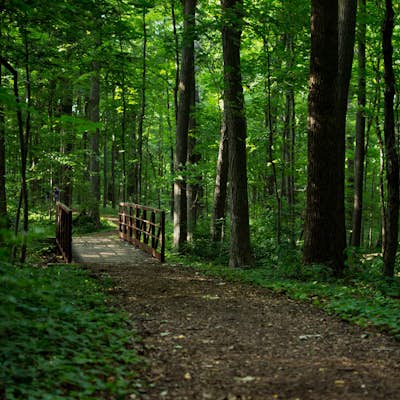 Hike the Morton Arboretum's Main Trail Loops