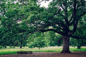 Hike the Morton Arboretum's Main Trail Loops