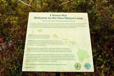 Stroll along the Iliau Nature Loop