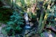 Hike to Sempervirens Falls