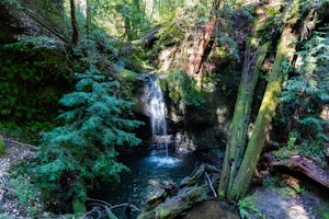 Hike to Sempervirens Falls