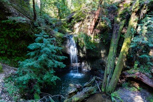 Sempervirens Falls (Temporarily Closed)